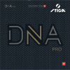 DNA PRO H