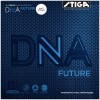DNA FUTURE SOFT VERSION