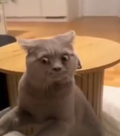 Hồ sơ của Kaaaj 님의 프로필